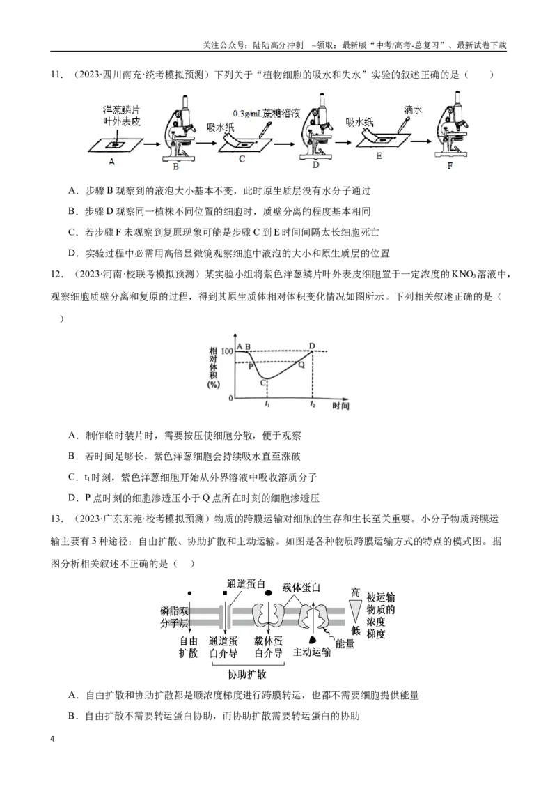 《必刷03细胞的物质输入和输出（学生版）_06-生物-高考总复习_专项复习_2024年_2024年新高考生物总复习高频考点必刷800题_2024版》第4页预览