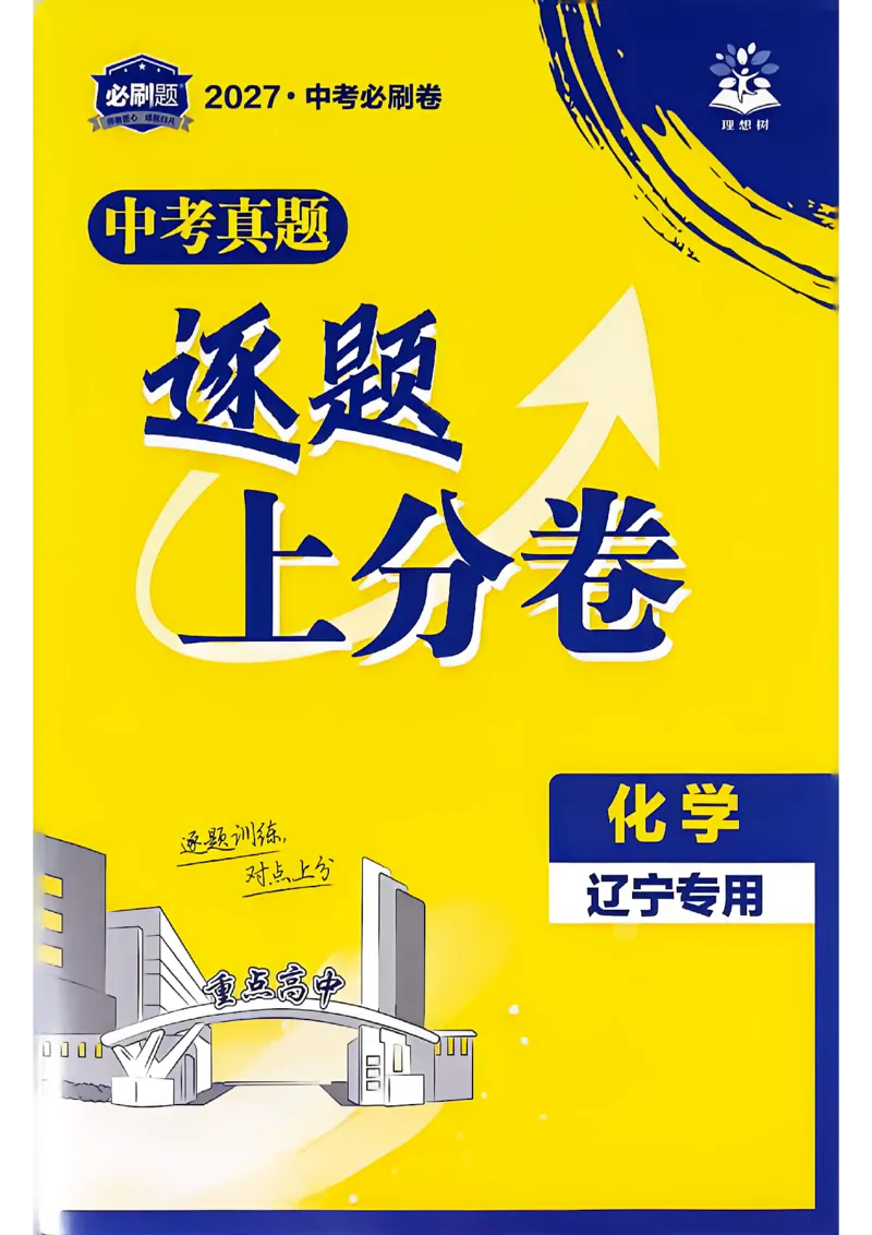 《化学逐题上分卷A4_2027版初中《必刷题42套新卷》（化学）（辽宁专用）》第1页预览