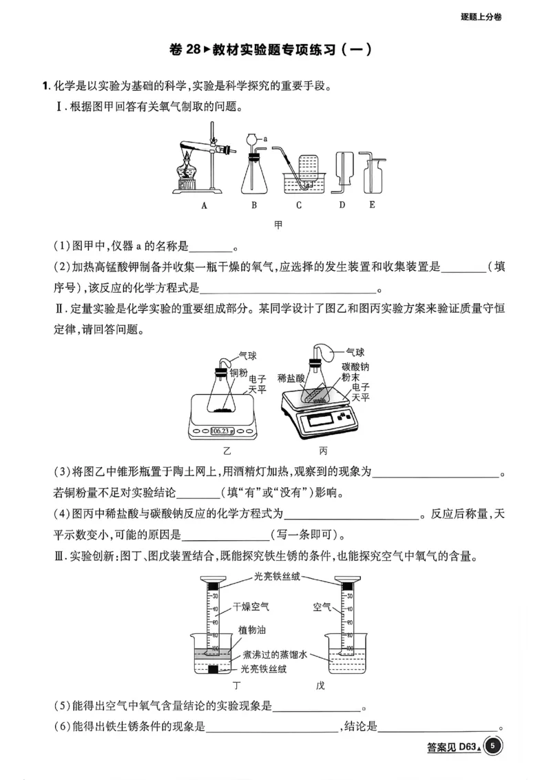 《化学逐题上分卷A4_2027版初中《必刷题42套新卷》（化学）（辽宁专用）》第9页预览