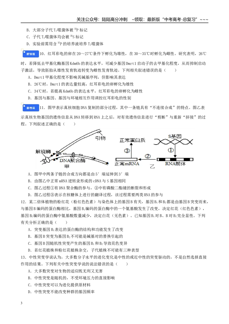 《模块检测卷2遗传与进化（综合训练）（学生版）（全国通用）_06-生物-高考总复习_一轮复习_2026年-生物高考一轮复习_2026年高考生物一轮复习讲义+练习+课件（新教材新高考）-G55_2026版》第3页预览