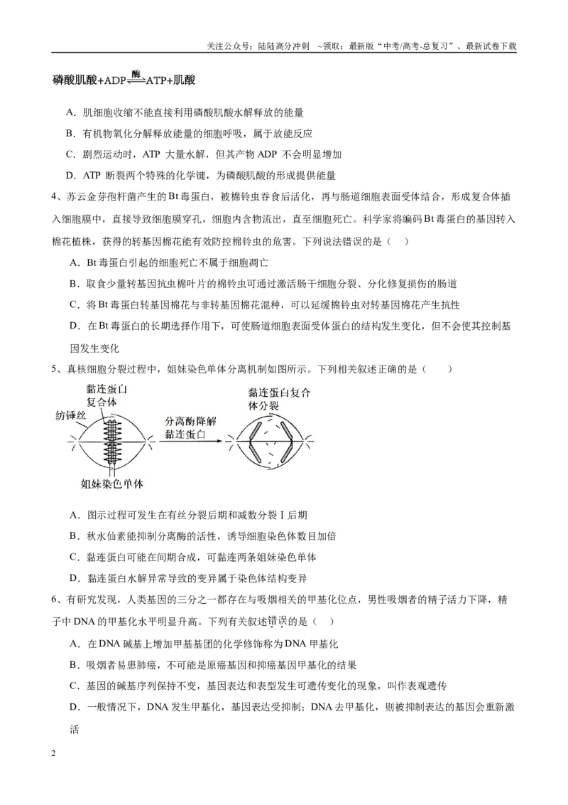 《模拟卷01（安徽专用）（考试版）_06-生物-高考总复习_专项复习_2025年_2025年高考生物模拟卷（安徽专用）8套》第2页预览