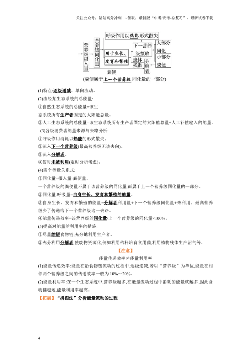 《解密20生态系统（讲义)-高频考点解密2023年高考生物二轮复习讲义+分层训练（新教材）_06-生物-高考总复习_二轮复习_2024年_2024年新教材高考生物二轮复习讲义分层训练题考点_资料》第4页预览