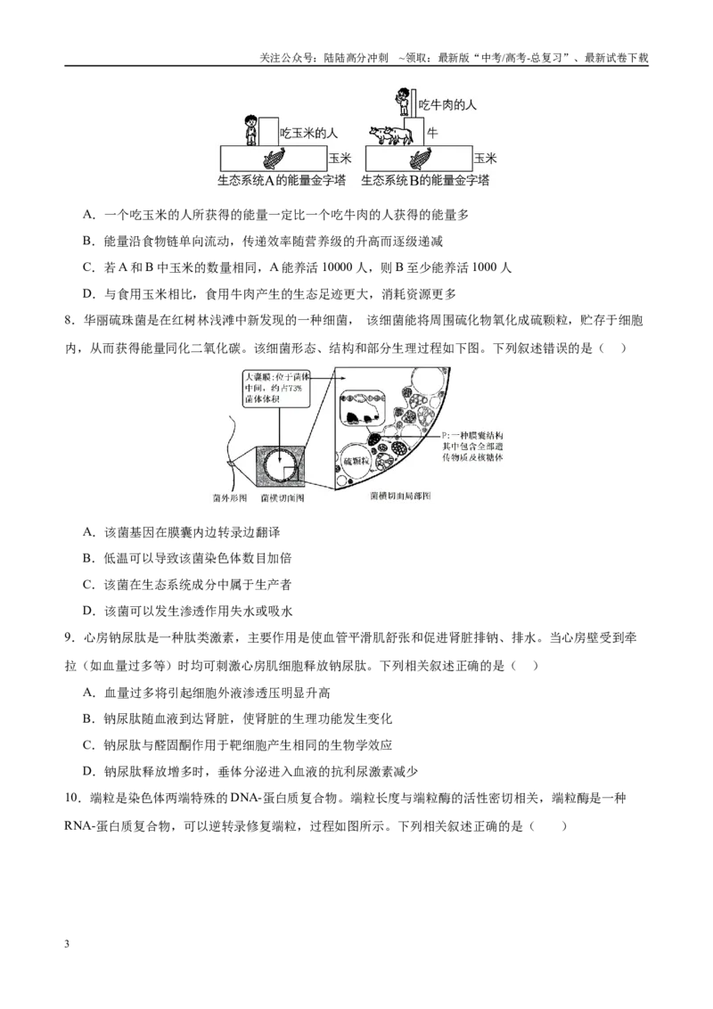 《模拟卷03（福建专用）（考试版）_06-生物-高考总复习_专项复习_2025年_2025年高考生物模拟卷（福建专用）8套》第3页预览