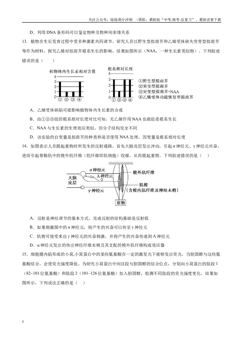 《模拟卷03（福建专用）（考试版）_06-生物-高考总复习_专项复习_2025年_2025年高考生物模拟卷（福建专用）8套》第5页预览
