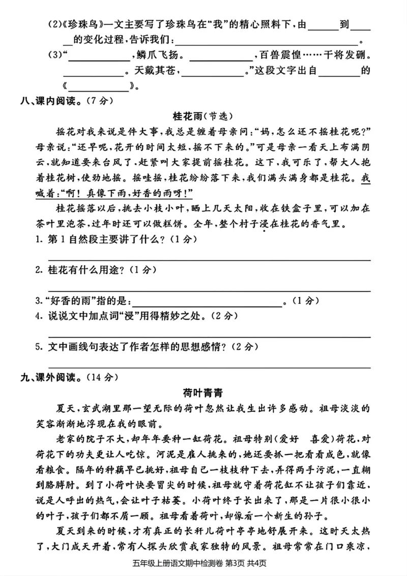《2023-2024学年五年级上册语文期中质量检测卷_5年级上册同步教辅_5上语文_五上语文单元+期中+期末卷_五上语文期中卷》第3页预览