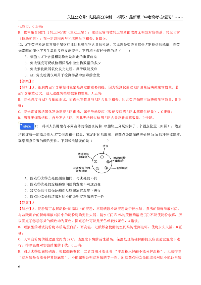 《模块检测卷1分子与细胞（综合训练）（教师版）（全国通用）_06-生物-高考总复习_一轮复习_2026年-生物高考一轮复习_2026年高考生物一轮复习讲义+练习+课件（新教材新高考）-G55_2026版》第6页预览