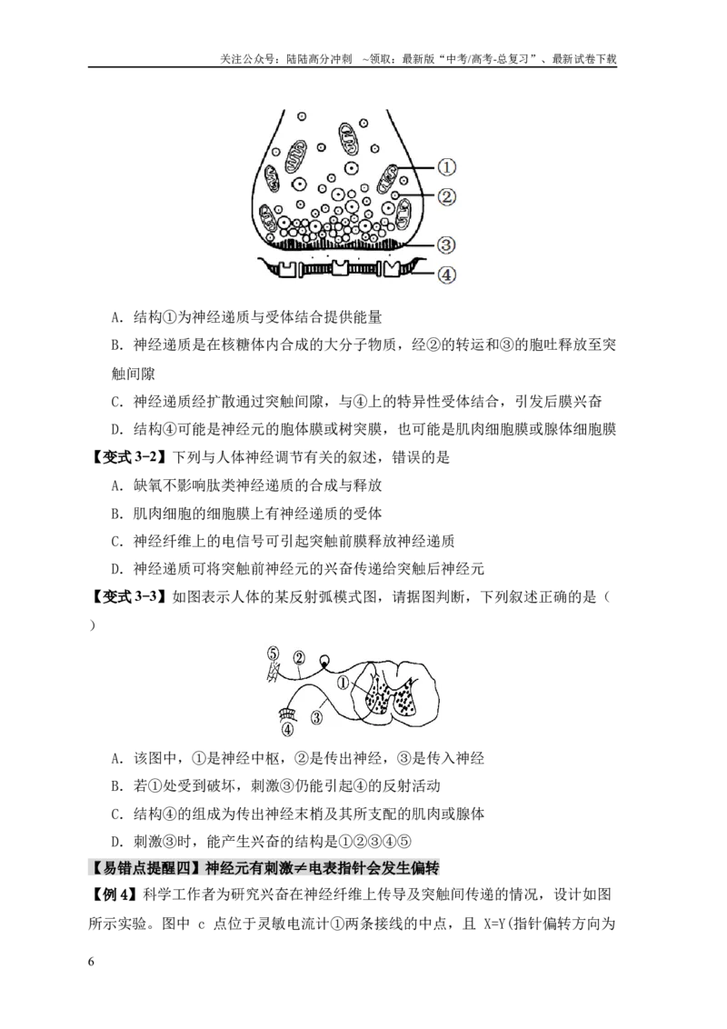 《易错点11神经调节的”四个“注意（学生版）_06-生物-高考总复习_专项复习_2025年_2025年高考生物考试易错题专项训_资料》第6页预览