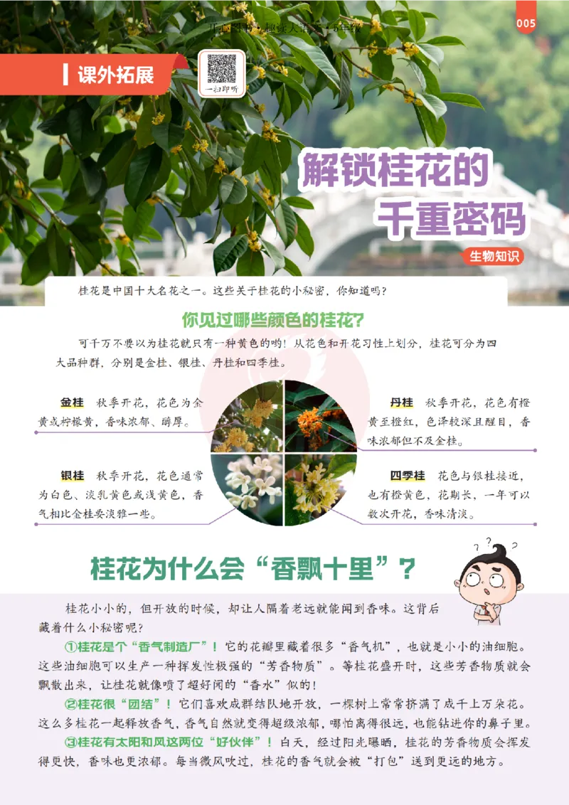 《26秋-趣读大语文-5年级上册-电子样书_26秋小学初中各机构教辅大合集（一本、教材帮、阳光同学、王朝霞、实验班、小典中点、上分卷、白欧、课堂笔记等等）_26秋小学教辅资料》第5页预览