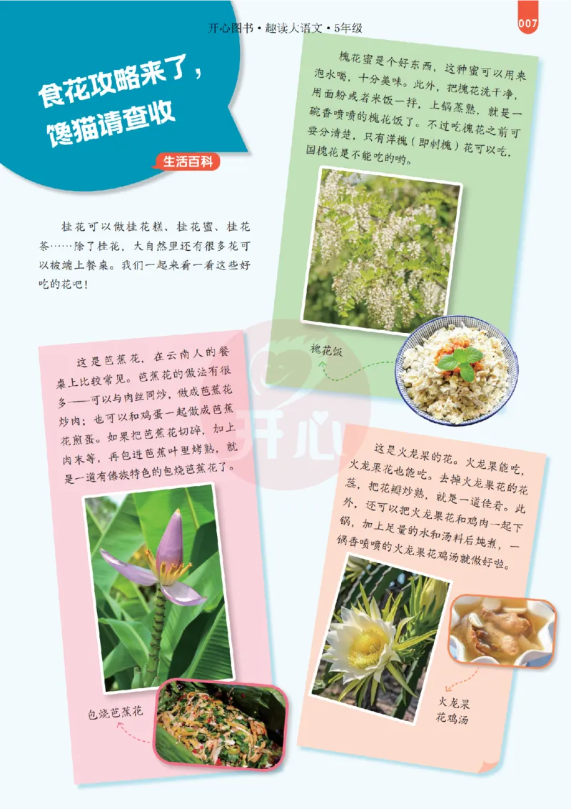 《26秋-趣读大语文-5年级上册-电子样书_26秋小学初中各机构教辅大合集（一本、教材帮、阳光同学、王朝霞、实验班、小典中点、上分卷、白欧、课堂笔记等等）_26秋小学教辅资料》第7页预览