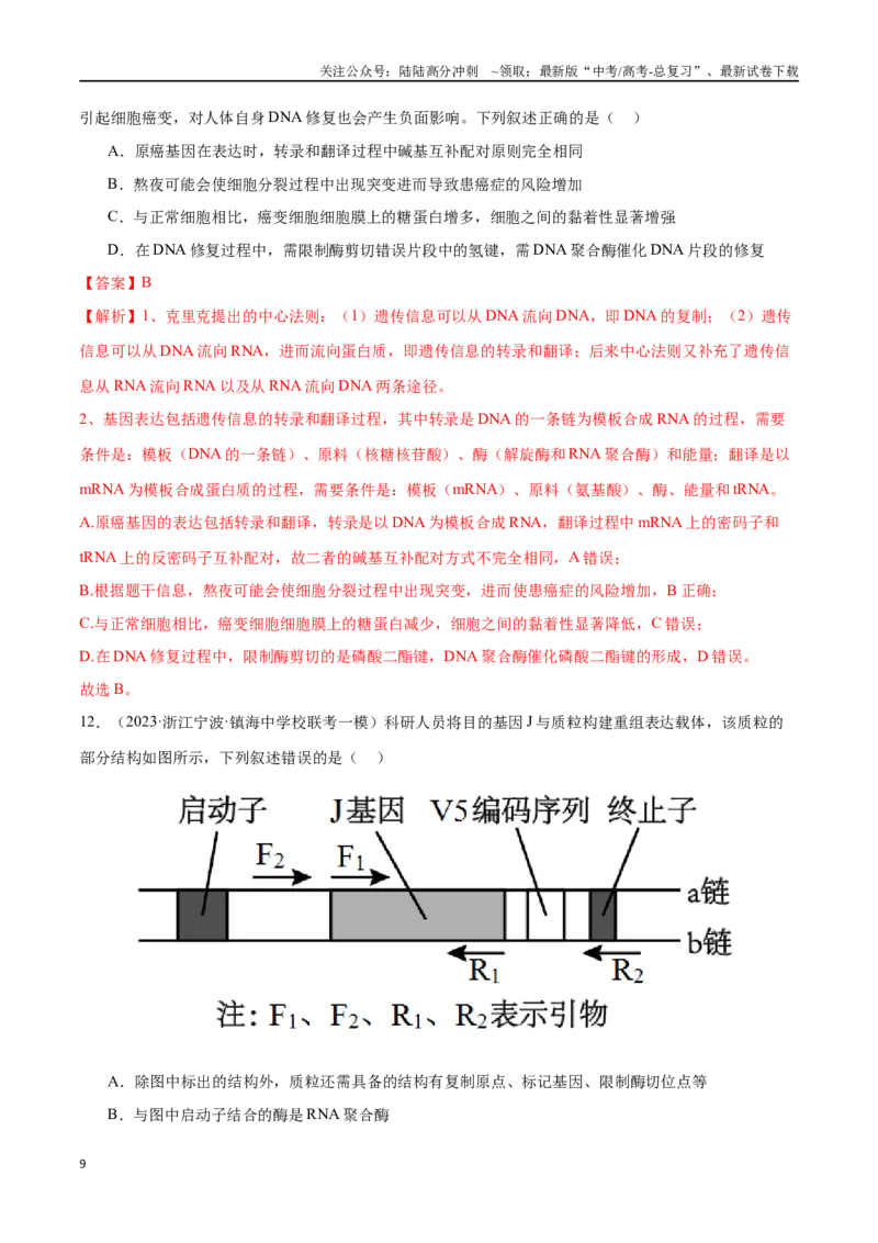 《必刷12基因工程（共50题）（解析版）_06-生物-高考总复习_专项复习_2024年_2024年新高考生物总复习高频考点必刷800题新教材_资料》第9页预览