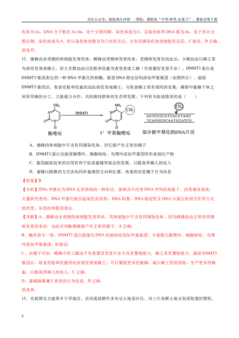《模拟卷02（福建专用）（解析版）_06-生物-高考总复习_专项复习_2025年_2025年高考生物模拟卷（福建专用）8套》第9页预览