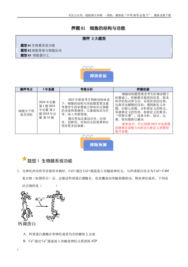 《押题01细胞结构与功能（3大题型猜押）（教师版）_06-生物-高考总复习_专项复习_2025年_2025年高考生物抢押秘籍（安徽专用）》第1页预览