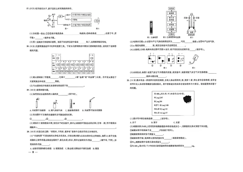《八年级化学单元检测卷_2027版初中《练测考》8年级全一册（化学）（鲁教）(1)》第8页预览