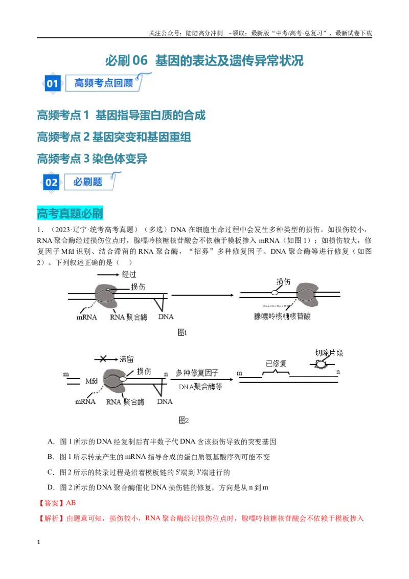 《必刷06基因的表达及异常状况（共50题）（解析版）_06-生物-高考总复习_专项复习_2024年_2024年新高考生物总复习高频考点必刷800题新教材_资料》第1页预览