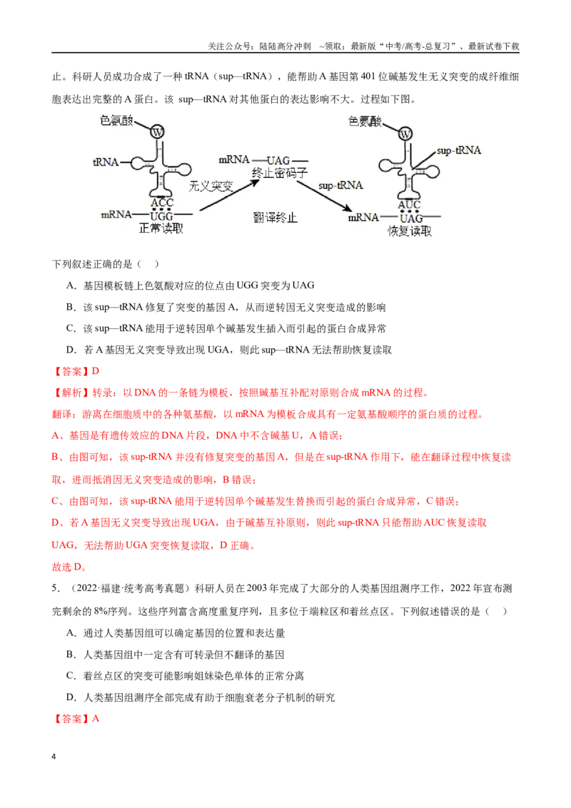 《必刷06基因的表达及异常状况（共50题）（解析版）_06-生物-高考总复习_专项复习_2024年_2024年新高考生物总复习高频考点必刷800题新教材_资料》第4页预览