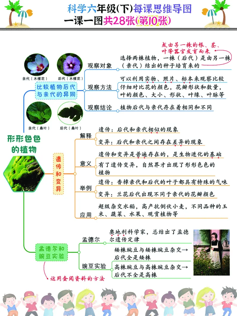 《2023科学六年级（下）每课思维导图，一课一图共28张，建议打印(1)_6年级下册同步教辅_6下-科学+道法》第10页预览