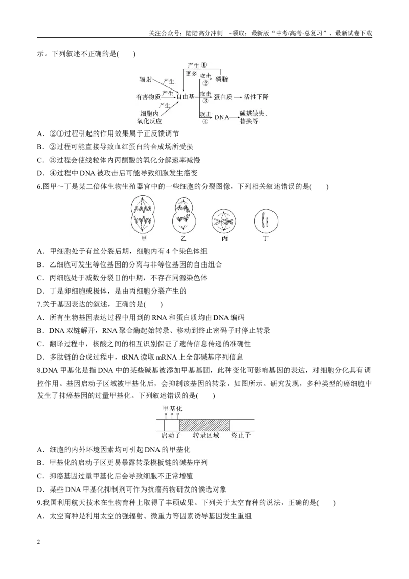 《模拟卷01（新疆、西藏专用）（考试版）_06-生物-高考总复习_专项复习_2025年_2025年高考生物模拟卷（新疆、西藏专用）8套》第2页预览