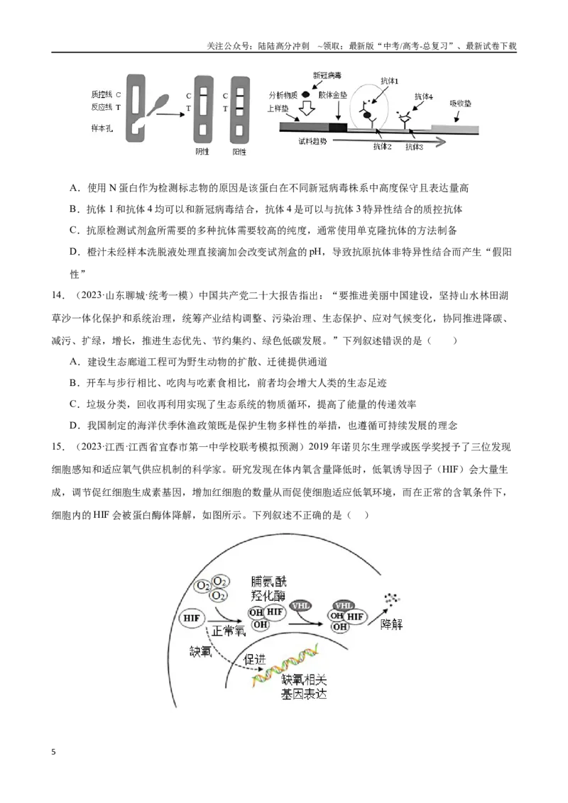 《必刷14科学探究实验及前沿发展应用（共40题）（原卷版）_06-生物-高考总复习_专项复习_2024年_2024年新高考生物总复习高频考点必刷题真题模拟题_资料》第5页预览