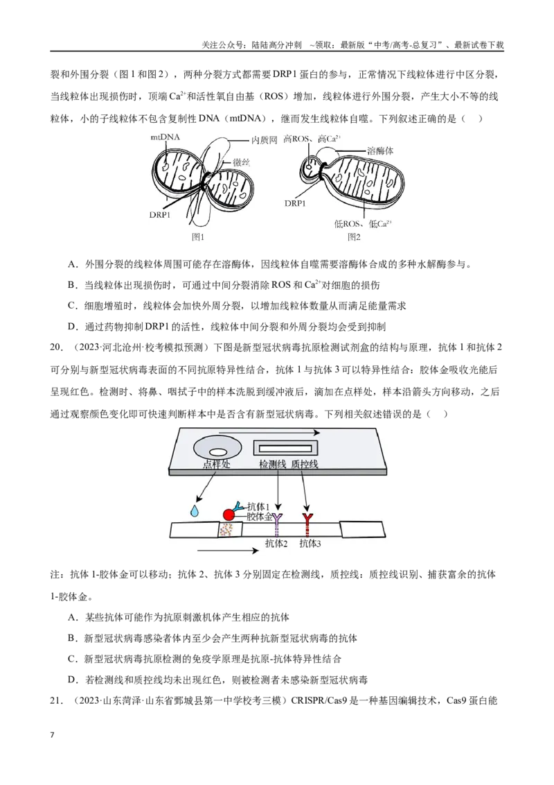 《必刷14科学探究实验及前沿发展应用（共40题）（原卷版）_06-生物-高考总复习_专项复习_2024年_2024年新高考生物总复习高频考点必刷题真题模拟题_资料》第7页预览