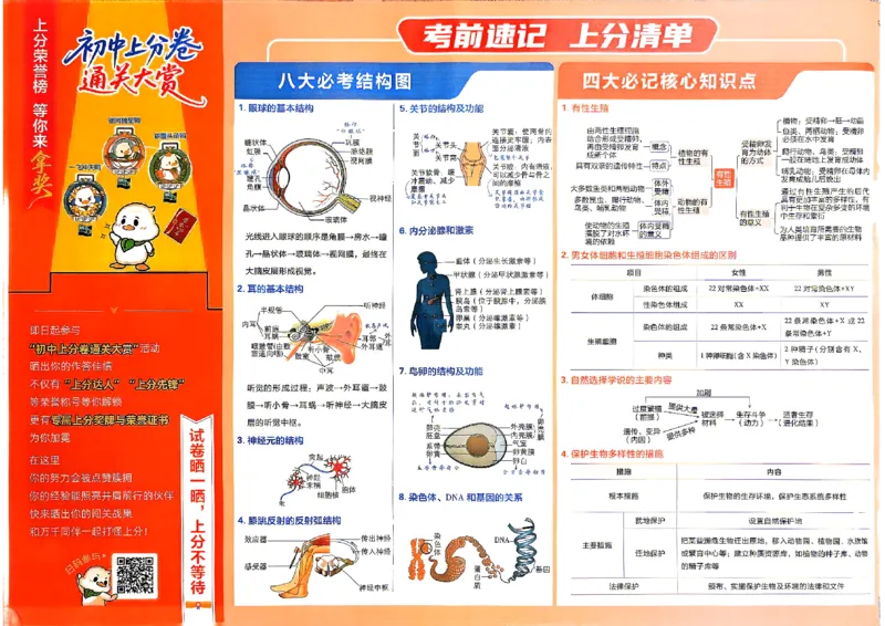 《主书_2027版初中《必刷题上分卷》8年级全一册（生物）（人教）》第3页预览