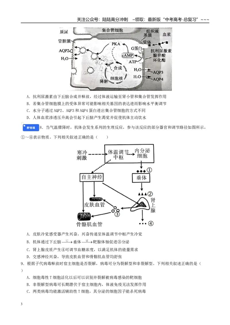 《模块检测卷3稳态与调节（综合训练）（学生版）（全国通用）_06-生物-高考总复习_一轮复习_2026年-生物高考一轮复习_2026年高考生物一轮复习讲义+练习+课件（新教材新高考）-G55_2026版》第3页预览
