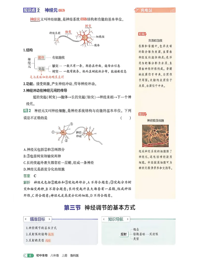 《八上生物吃透重难点_2027版初中《53吃透重难点》8年级上册（生物）（鲁教）》第10页预览