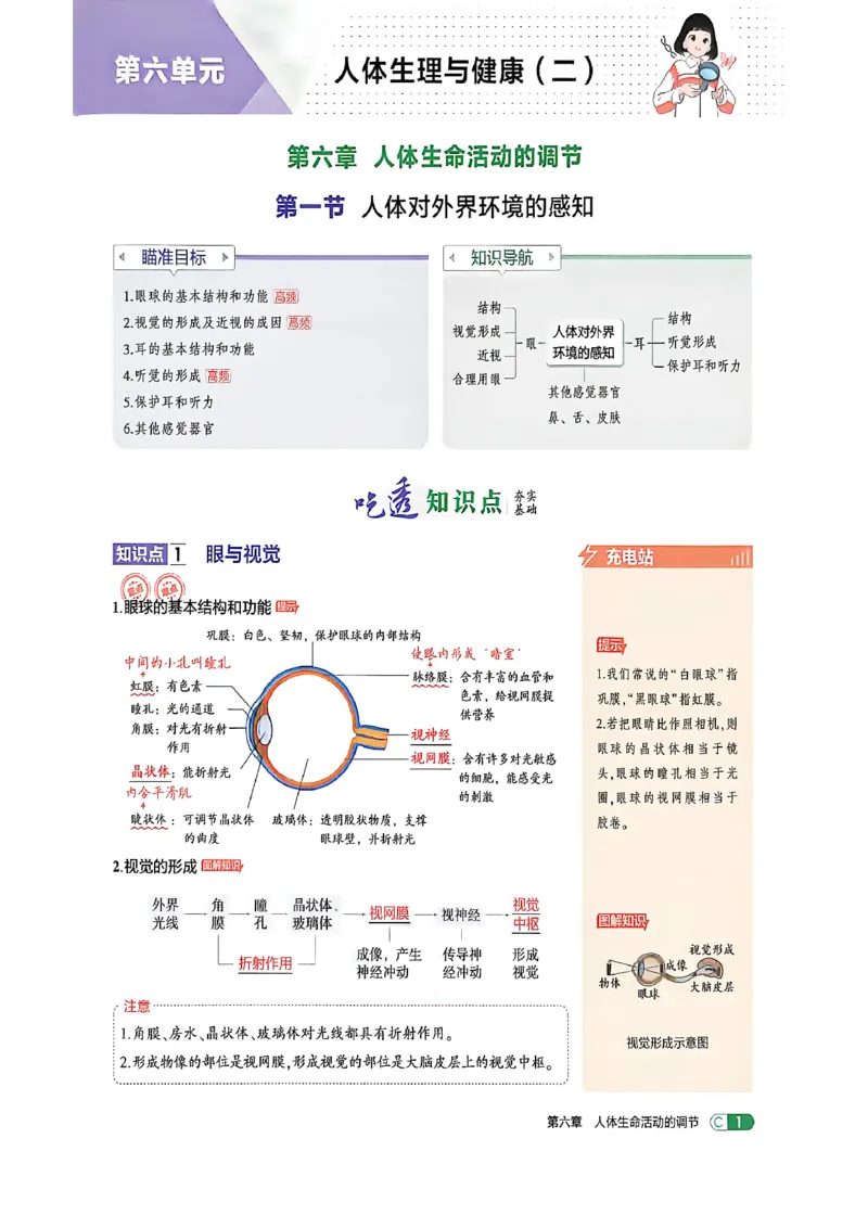 《八上生物吃透重难点_2027版初中《53吃透重难点》8年级上册（生物）（鲁教）》第5页预览