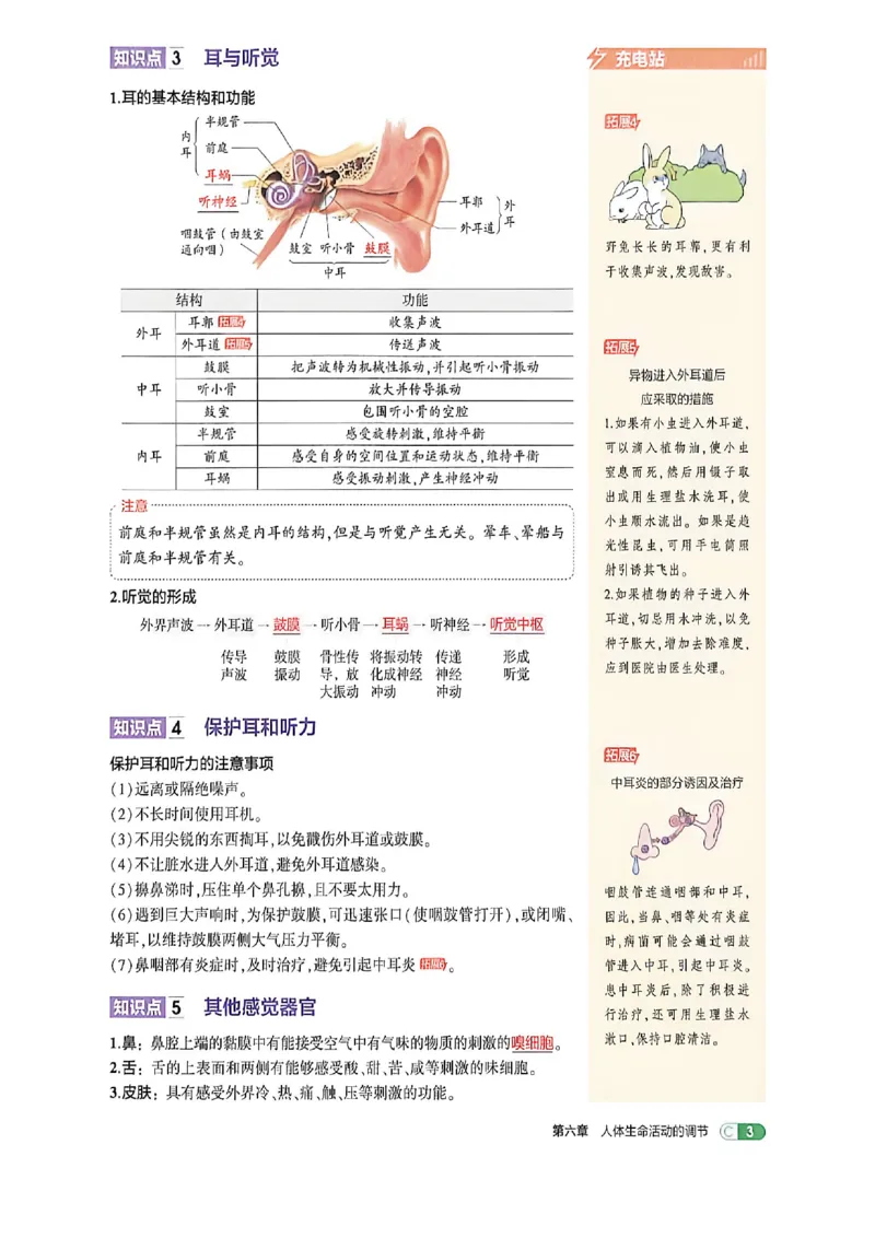 《八上生物吃透重难点_2027版初中《53吃透重难点》8年级上册（生物）（鲁教）》第7页预览