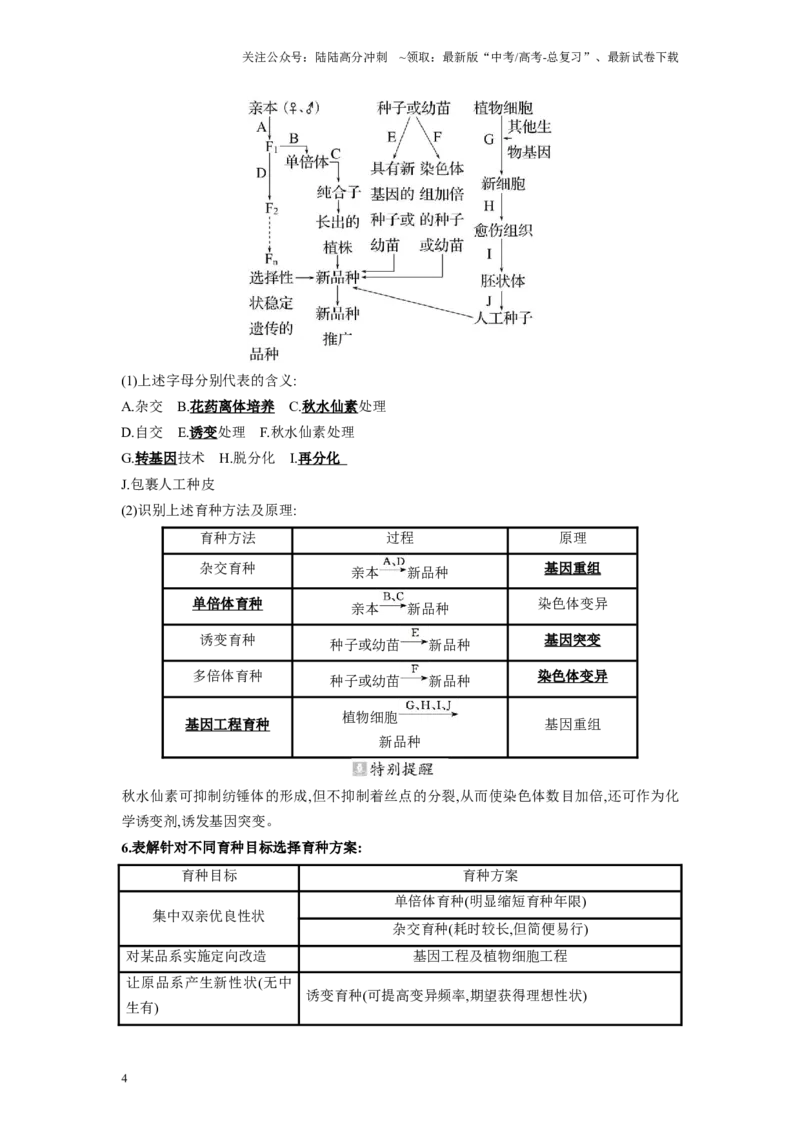 《解密13变异与育种（讲义)-高频考点解密2023年高考生物二轮复习讲义+分层训练（新教材）_06-生物-高考总复习_二轮复习_2024年_2024年新教材高考生物二轮复习讲义分层训练题考点_资料》第4页预览