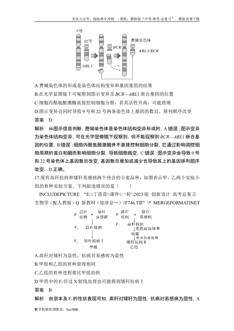 《模块检测卷（二）_06-生物-高考总复习_一轮复习_2024年_2024高考生物大一轮复习课件讲义新人教版知识总结_2024年高考生物一轮复习讲义（新人教版）_另赠1套Word版题库》第9页预览