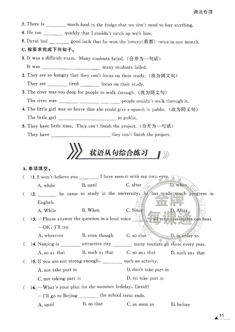 《九年级上册语法专项_2027版初中《金牌每课通》9年级全册（英语）（外研）》第10页预览