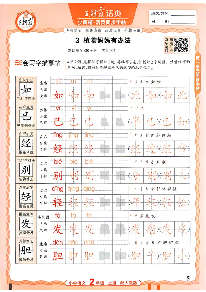 《26秋2上语文《王朝霞-活页同步字帖》_26秋小学初中各机构教辅大合集（一本、教材帮、阳光同学、王朝霞、实验班、小典中点、上分卷、白欧、课堂笔记等等）_26秋小学教辅资料》第5页预览