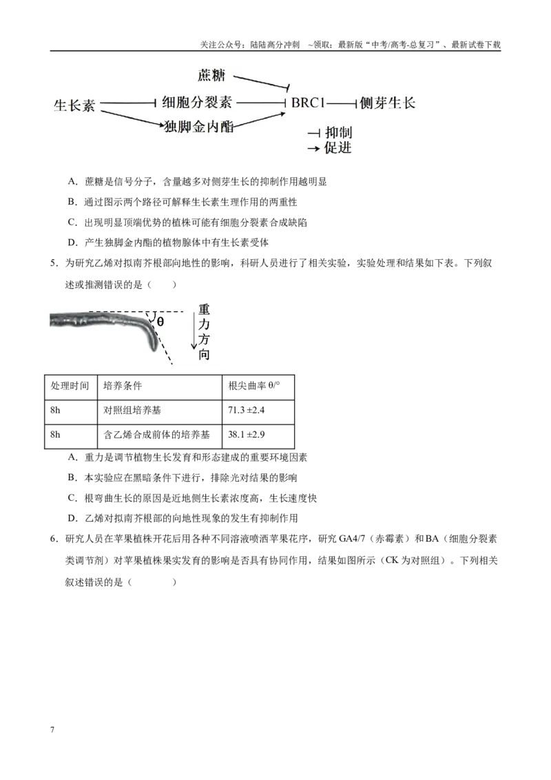 《押题08植物激素与农业应用（3大题型猜押）（学生版）_06-生物-高考总复习_专项复习_2025年_2025年高考生物抢押秘籍（安徽专用）》第7页预览