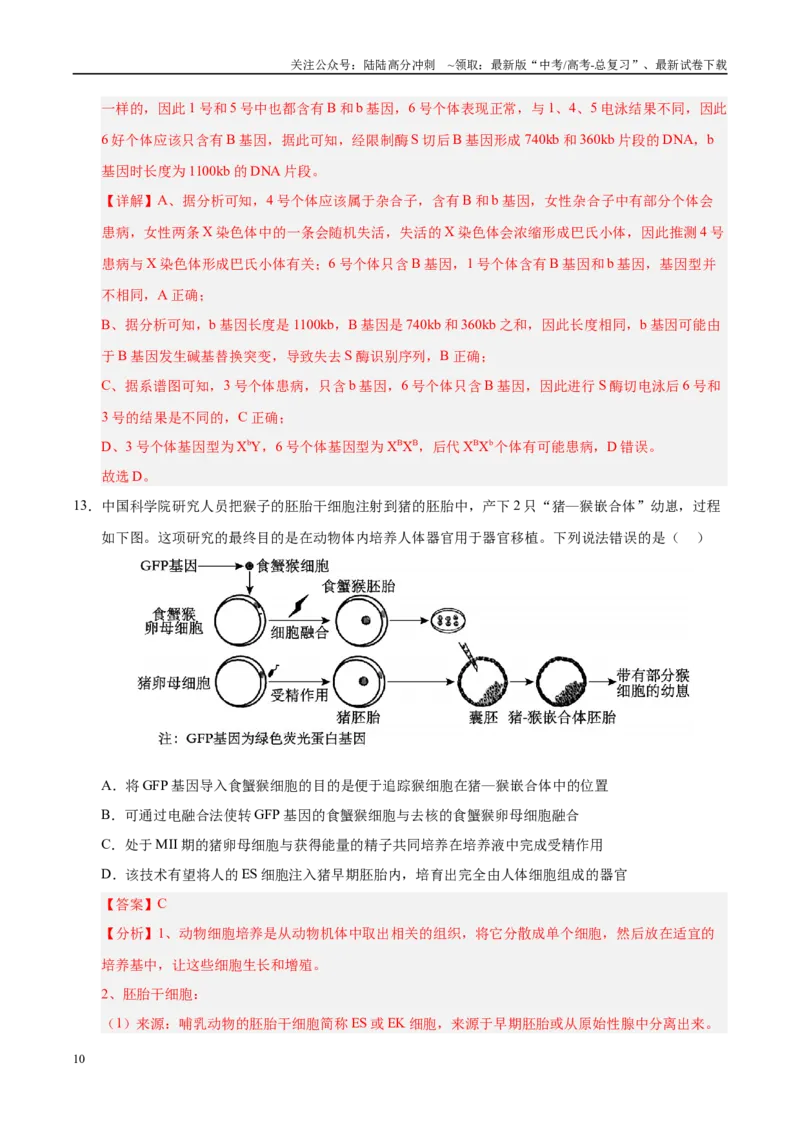《模拟卷03（河北专用）（解析版）_06-生物-高考总复习_专项复习_2025年_2025年高考生物模拟卷（河北专用）4套》第10页预览