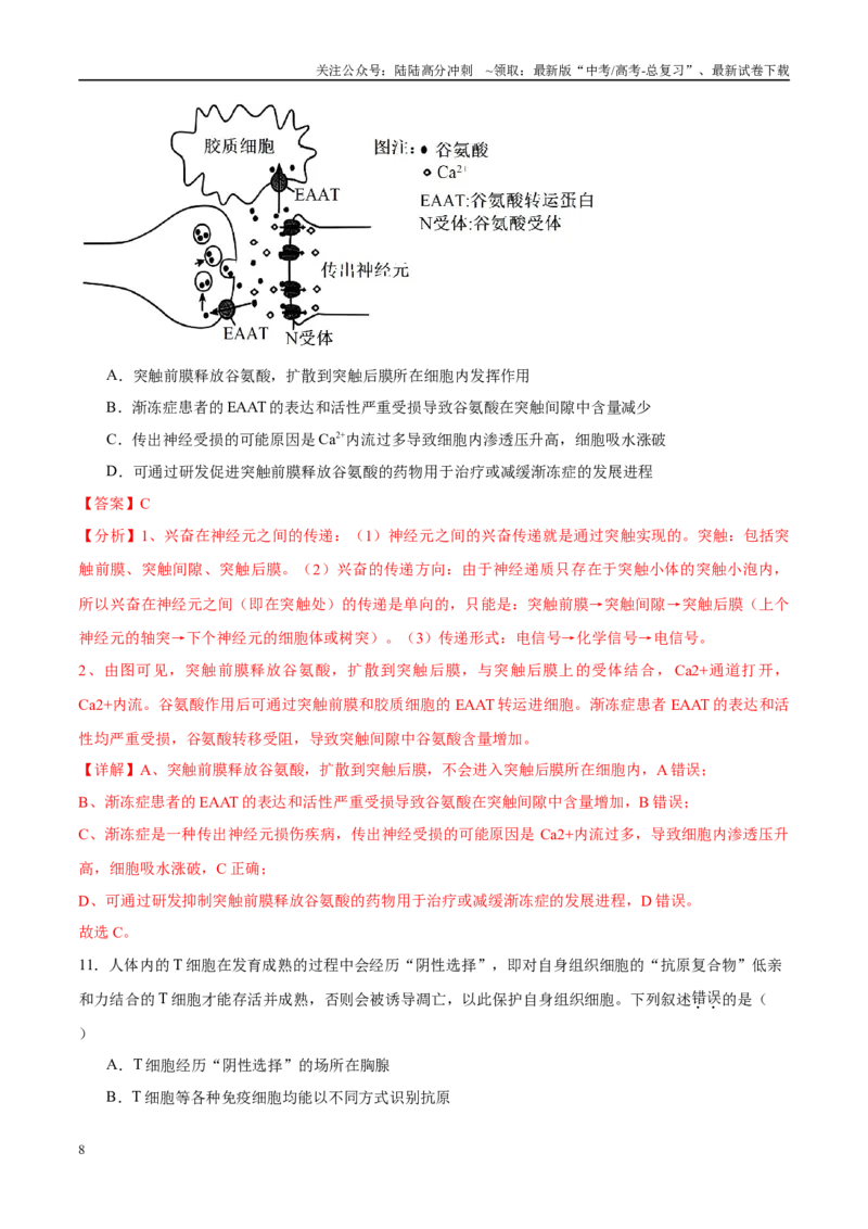 《模拟卷04（新高考八省专用）（解析版）_06-生物-高考总复习_专项复习_2025年_2025年高考生物模拟卷（新高考八省专用）8套》第8页预览