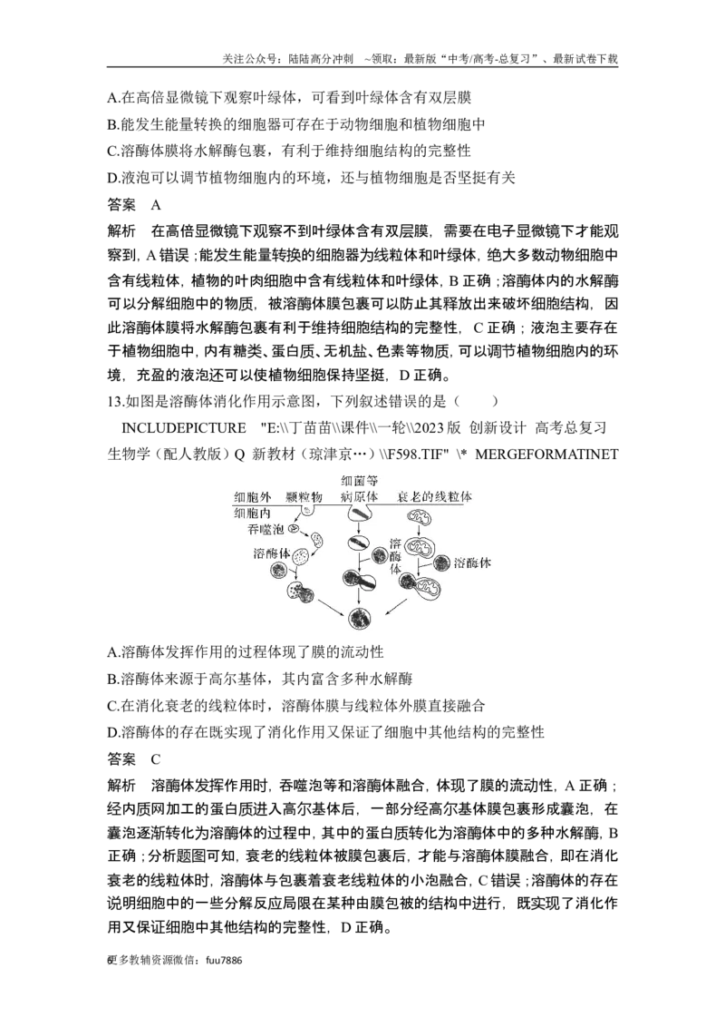 《模块检测卷（一）_06-生物-高考总复习_一轮复习_2024年_2024高考生物大一轮复习课件讲义新人教版知识总结_2024年高考生物一轮复习讲义（新人教版）_另赠1套Word版题库》第6页预览