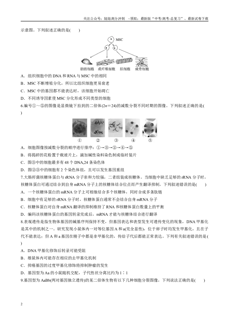 《模拟卷02（新疆、西藏专用）（考试版）_06-生物-高考总复习_专项复习_2025年_2025年高考生物模拟卷（新疆、西藏专用）8套》第2页预览