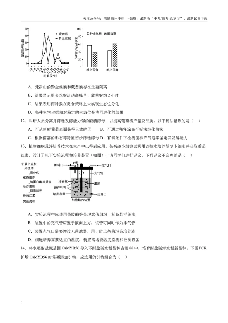 《模拟卷02（重庆专用）（考试版）_06-生物-高考总复习_专项复习_2025年_2025年高考生物模拟卷（重庆专用）4套》第5页预览
