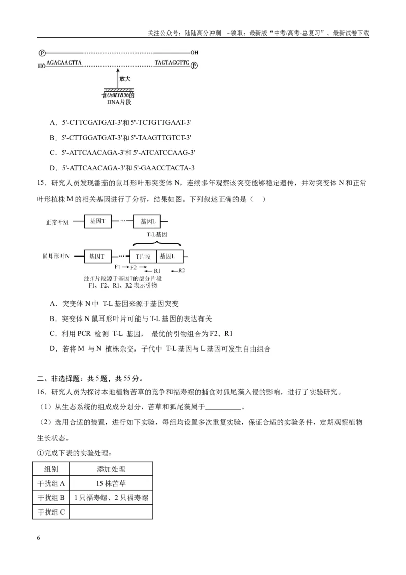 《模拟卷02（重庆专用）（考试版）_06-生物-高考总复习_专项复习_2025年_2025年高考生物模拟卷（重庆专用）4套》第6页预览