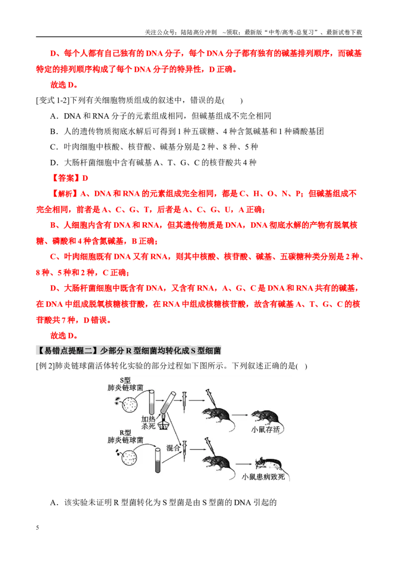 《易错点09基因的本质与表达易错分析（6大陷阱）（教师版）_06-生物-高考总复习_专项复习_2025年_2025年高考生物考试易错题（新高考通用）》第5页预览