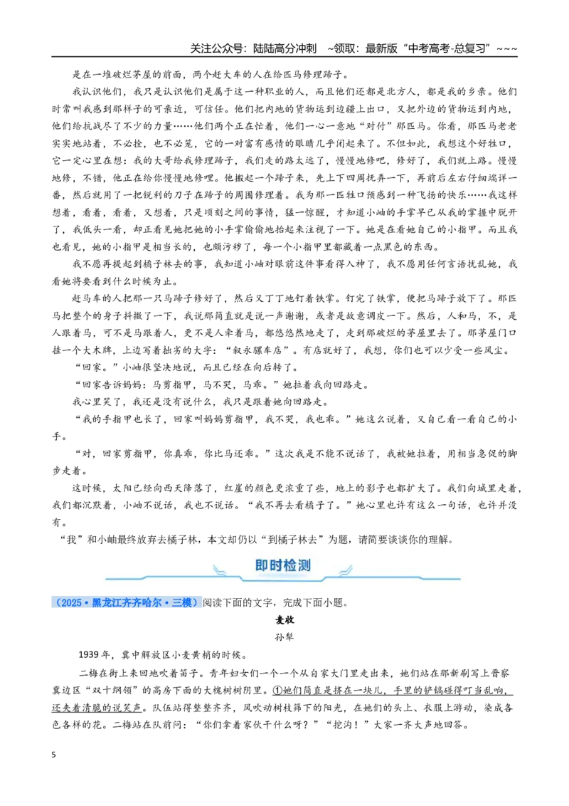 《核心考点08文学类文本散文之标题探究（讲义）（全国通用）（学生版）_一轮复习_2026年-语文一轮复习_2026年高考语文一轮复习考点精讲精练（新高考通用）-G58_2026版》第5页预览