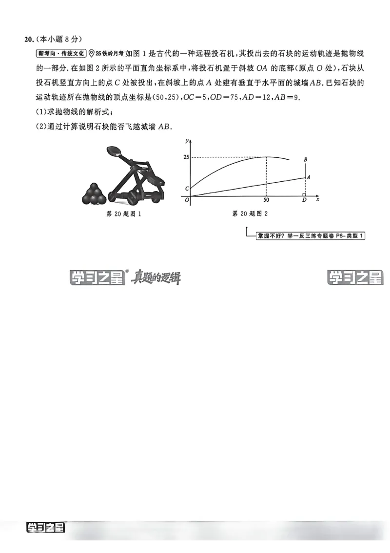 《真题卷A4_26秋小学初中各机构教辅大合集（一本、教材帮、阳光同学、王朝霞、实验班、小典中点、上分卷、白欧、课堂笔记等等）_26秋初中教辅资料_26秋《学习之星》系列_223》第10页预览