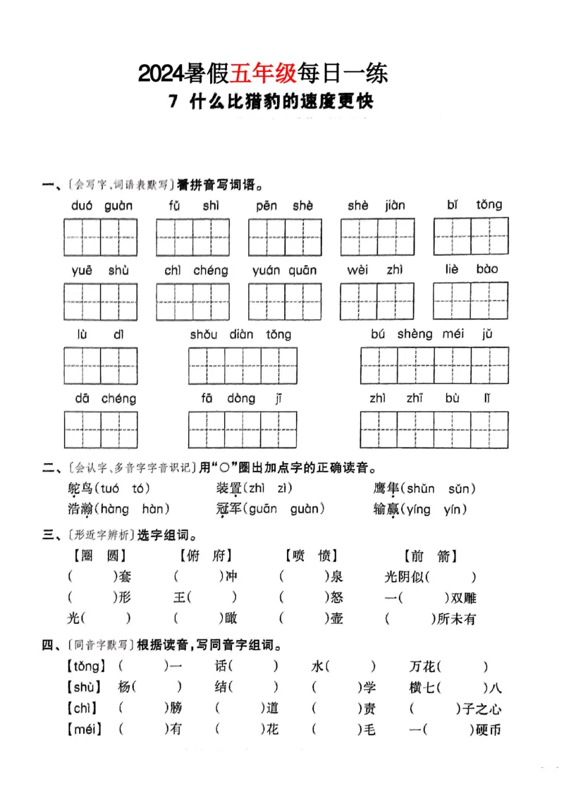 《2024新版五年级暑假每日一练_5年级上册同步教辅_5上暑假规划+暑假作业》第8页预览