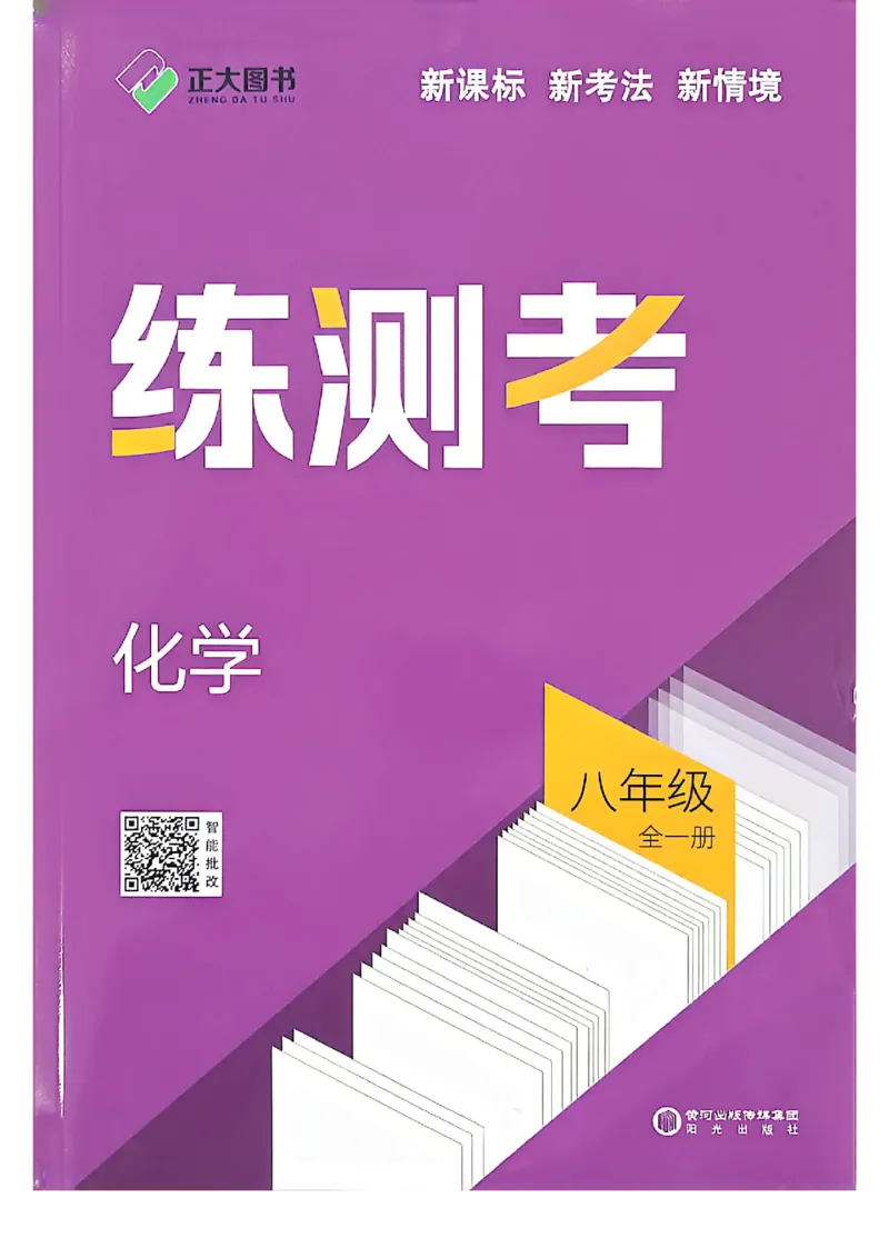 《八年级化学练测考_2027版初中《练测考》8年级全一册（化学）（鲁教）(1)》第1页预览
