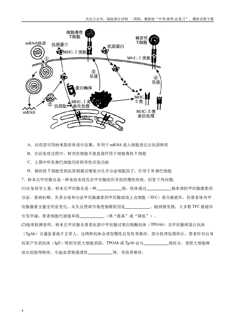 《押题07免疫与疾病预防（3大题型猜押）（学生版）_06-生物-高考总复习_专项复习_2025年_2025年高考生物抢押秘籍（安徽专用）》第4页预览