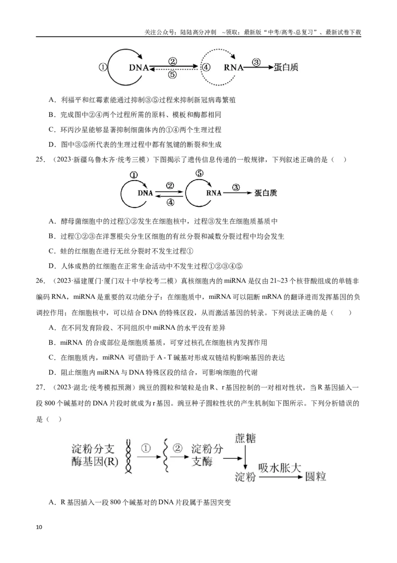 《必刷06基因的表达及异常状况（共50题）（学生版）_06-生物-高考总复习_专项复习_2024年_2024年新高考生物总复习高频考点必刷800题_2024版》第10页预览
