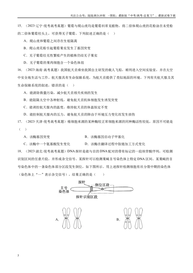 《必刷06基因的表达及异常状况（共50题）（学生版）_06-生物-高考总复习_专项复习_2024年_2024年新高考生物总复习高频考点必刷800题_2024版》第7页预览