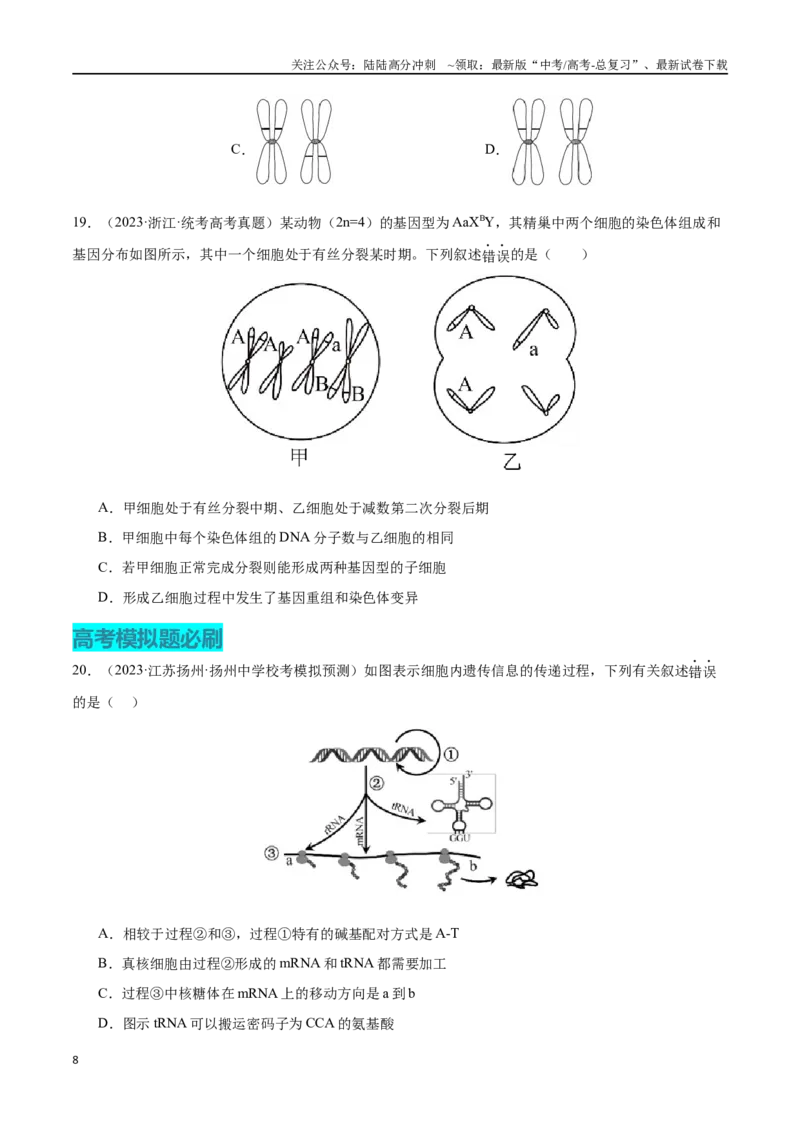 《必刷06基因的表达及异常状况（共50题）（学生版）_06-生物-高考总复习_专项复习_2024年_2024年新高考生物总复习高频考点必刷800题_2024版》第8页预览
