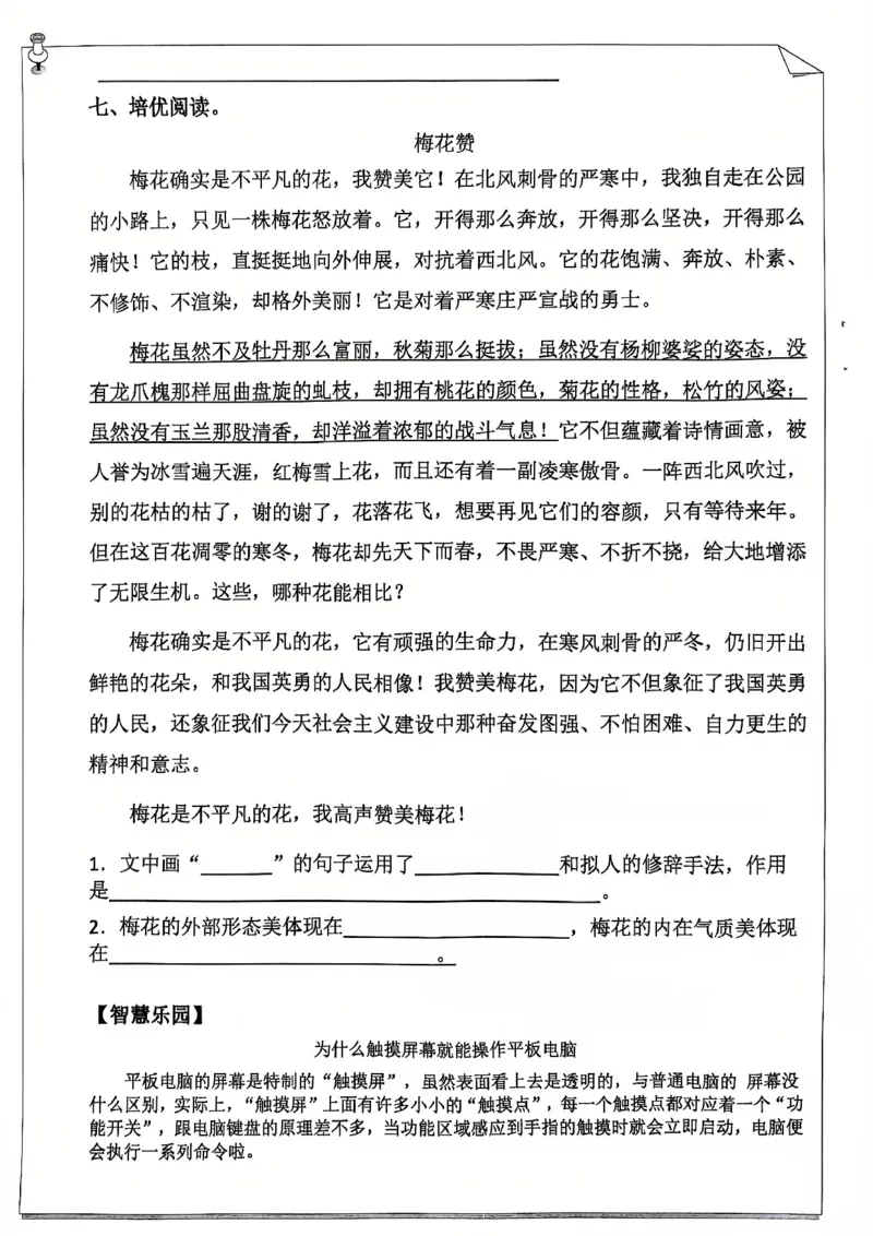 《2025最新5年级语文寒假作业_5年级下册同步教辅_5下语数英寒假作业》第2页预览