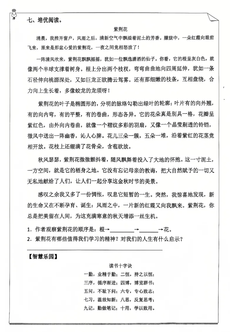 《2025最新5年级语文寒假作业_5年级下册同步教辅_5下语数英寒假作业》第4页预览